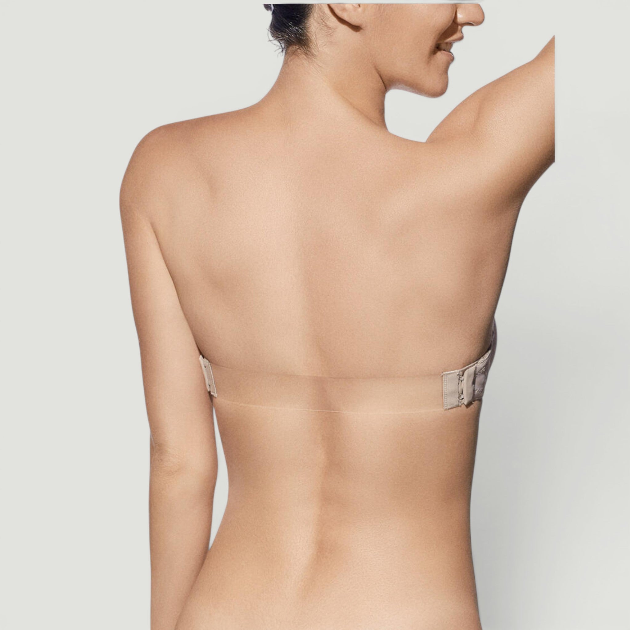 REGGISENO A FASCIA COPPA C - TIERRA