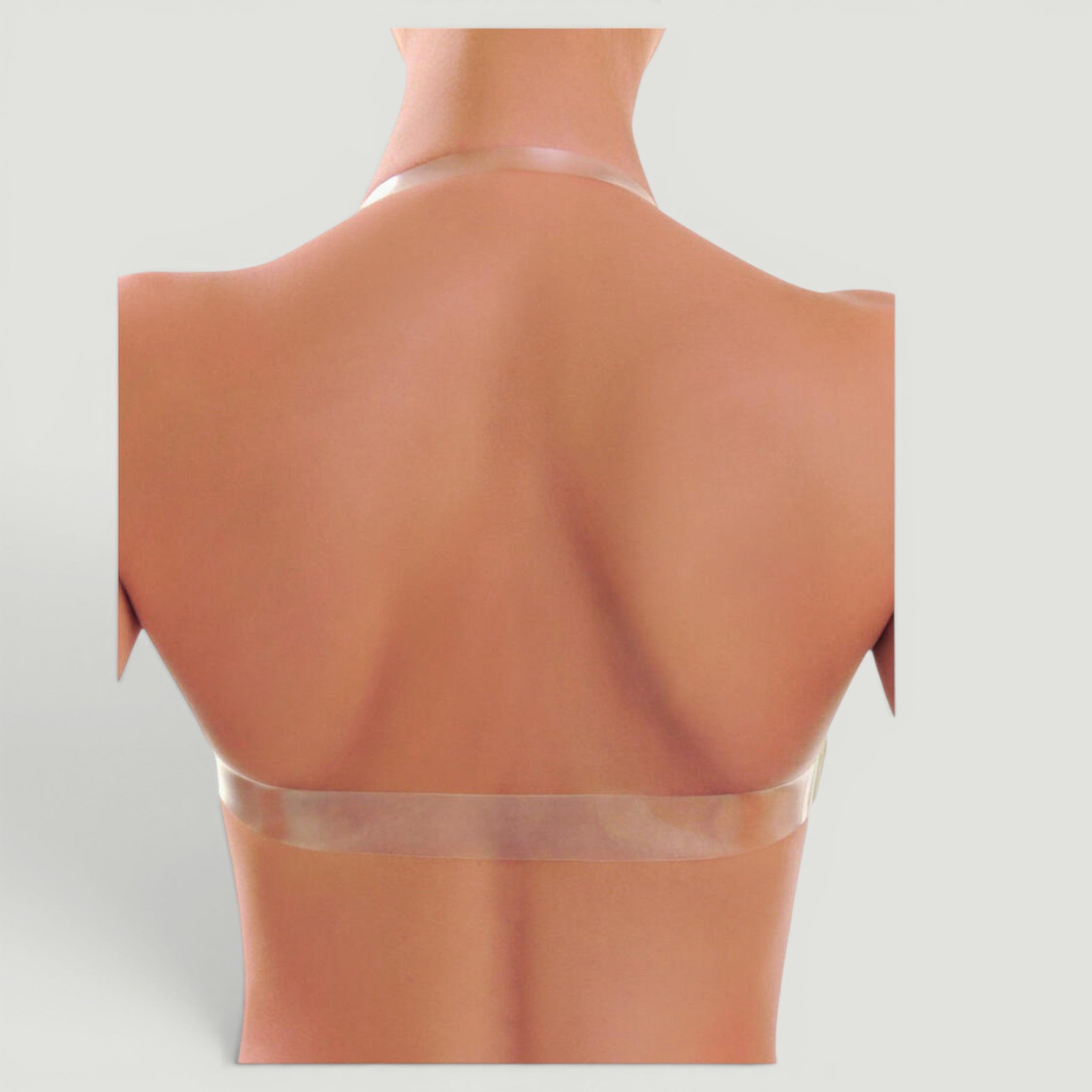REGGISENO A FASCIA IN COPPA B - CIPRIA