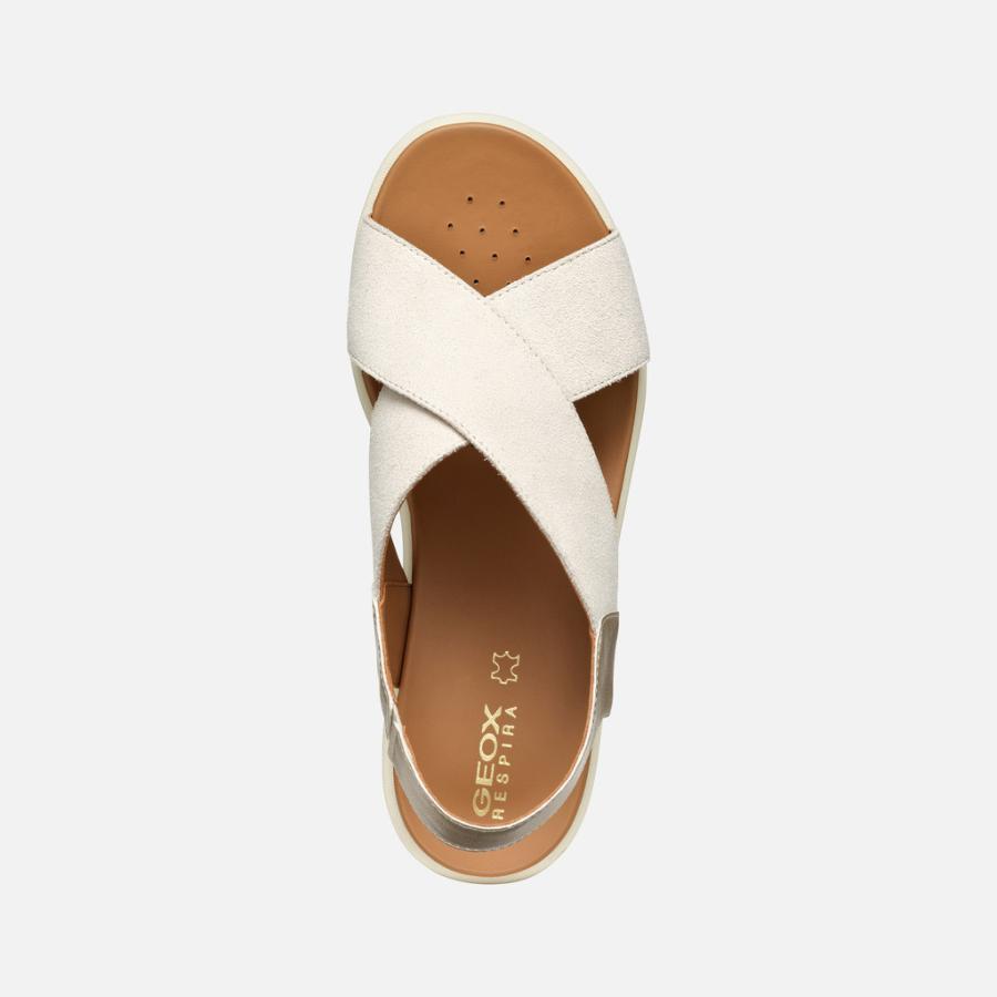 GEOX  SANDALO  ZEPPA   SAND/GOLD Beige Chiaro/Oro Chiaro 5